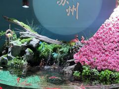 -苏州海洋馆