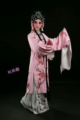 -胭脂猫京剧摄影