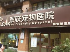 -派联宠物医院·24h·CT·异宠