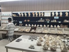 -青岛贝壳博物馆