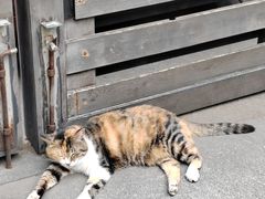 -颐和路民国时期公馆风貌区