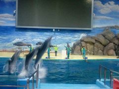 -福州罗源湾海洋世界旅游区