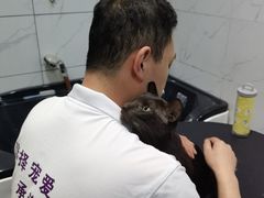 -宠爱国际动物医院·消化内科·心肾内科·ISFM猫友好(望京店)