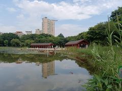 -映月湖公园