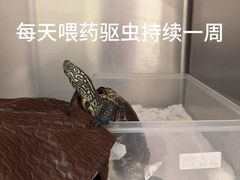 -悦宠动物医院(京丰分院)