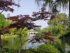 -济南大明湖景区