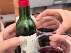 -新加坡航空公司(ION)
