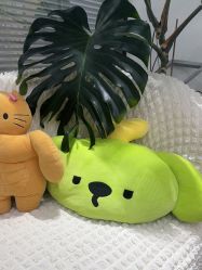 -凡碧诗毛孔清洁收细