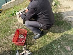 餐饮设施-嘉北郊野公园