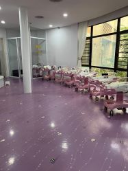 -宝生月子中心(独栋园林·福田店)