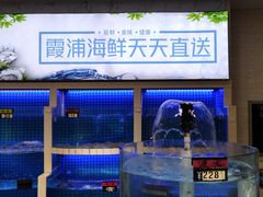 -闽鲜森霞浦海鲜城