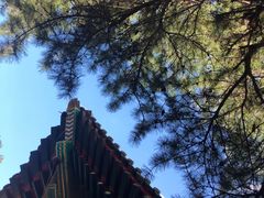 -瑞幸咖啡(尚都国际店)