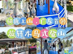 -盈香心动乐园