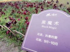 -保利石象湖景区
