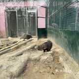 30块钱买一上午的快乐[调皮]