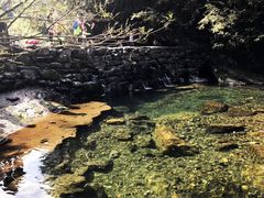 -石台牯牛降景区