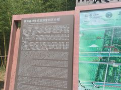 -黄海国家森林公园