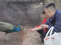 -长鹿旅游休博园