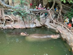 -长鹿旅游休博园