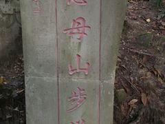 -南山植物园