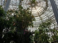 -郑州植物园
