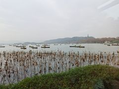 -湖畔居茶楼(湖滨店)