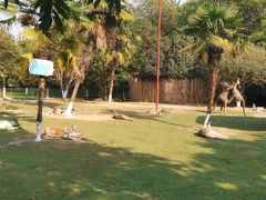 -常州淹城野生动物世界