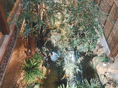 -聚缘堂·海鲜私房菜(松岭路店)