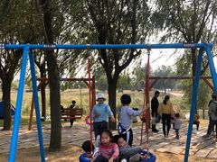 -羊亭河湿地公园