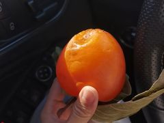 -陆氏太后饼(富平店)