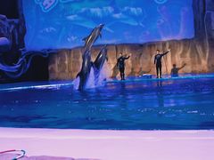 -华夏文旅海洋公园