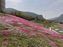 -济南喜来登酒店