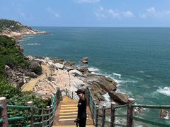 -广东惠东海龟国家级自然保护区