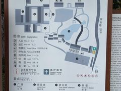 -东山雕花楼