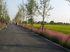 -嘉北郊野公园北游客中心-地上停车场