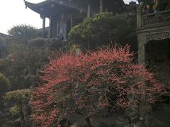 -胡雪岩故居