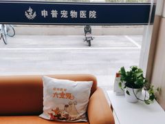 -申普宠物医院·眼科·心内科·影像科(普陀分院)