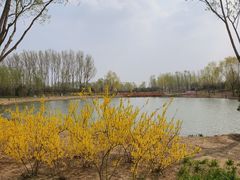 -东郊湿地公园
