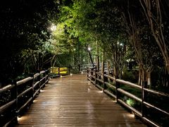 -乌镇东栅景区