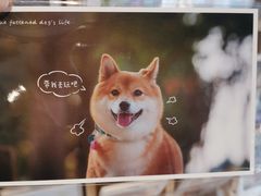 -猫的天空之城概念书店(苏州平江店)