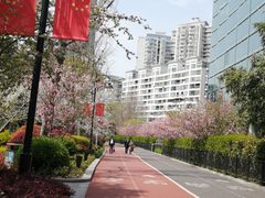 -北外滩滨江绿地