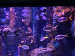 -海合安成都极地海洋公园