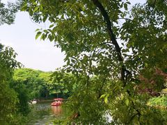 -上海共青森林公园