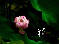 -黄兴公园