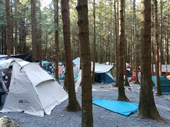 -重庆睡佛山森林公园