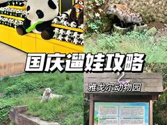 -宁波野生动物园