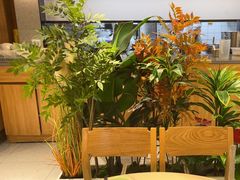 -九孔·筒骨莲藕汤锅(大明宫万达店)
