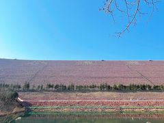 -黄河小浪底水利枢纽风景区