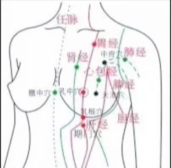 -香薇妮丝·定制减肥·身材管理