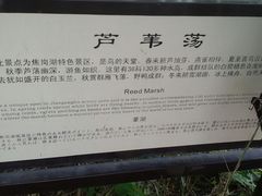 -焦岗湖旅游度假区